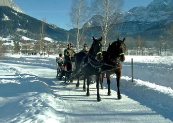winter pferdeschlittenfahrt familienurlaub am bauernhof lermoos